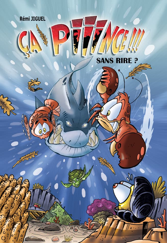 Couverture de Ça PIIINCE !!! Sans rire ?