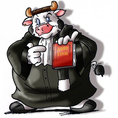 Germaine la vache en avocate